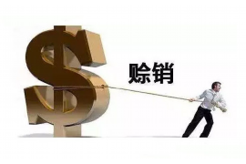 隰县要账公司更多成功案例详情